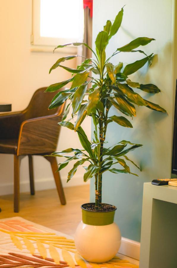 Bright Apartment Close To City Center Tirana Exteriér fotografie